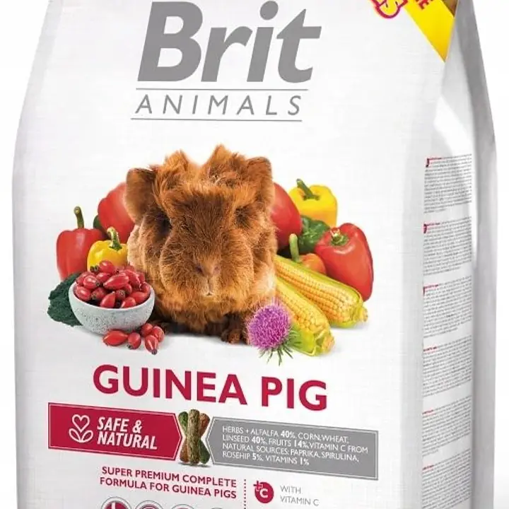 Brit Guinea Pig - Master