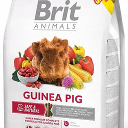 Brit Guinea Pig - Master