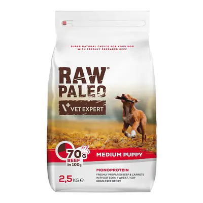 Vet Expert RAW PALEO MEDIUM PUPPY BEEF основное изображение