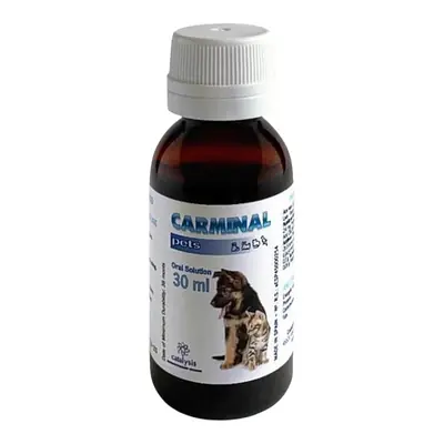 Carminal дополнительное изображение