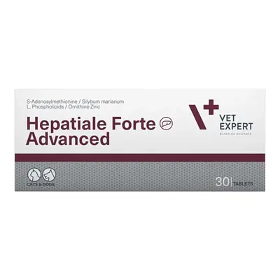 Vet Expert HEPATIALE FORTE ADVANCED основное изображение