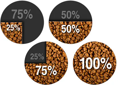 Как правильно перевести собаку на новый корм: пошаговое руководство