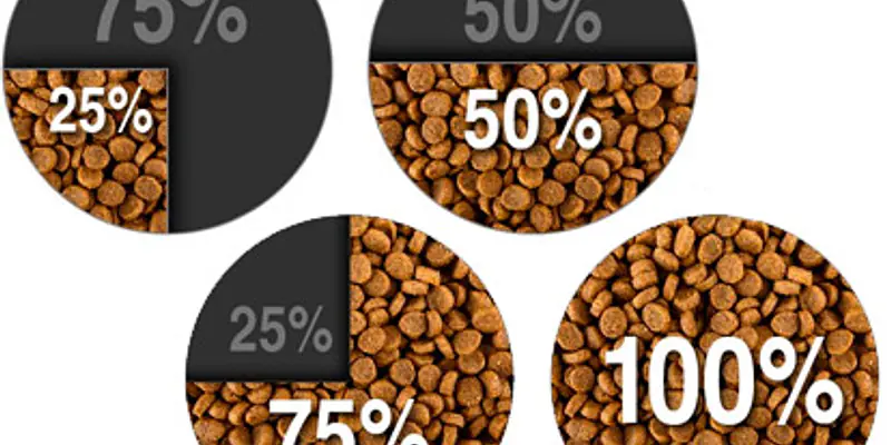 Как правильно перевести собаку на новый корм: пошаговое руководство