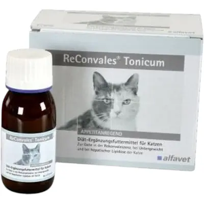Alfavet ReConvales Tonicum, для кошек, 45 мл основное изображение