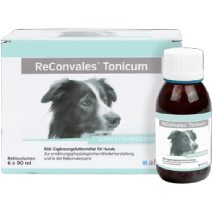 alfavet ReConvales, для восстановления собак, 6 x 90 мл