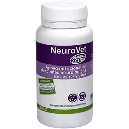 Neurovet, поддержка для питомцев с неврологическими проблемами