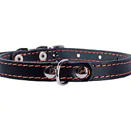 ошейник "Collar" одинарный, 10мм* 22-30см - Master