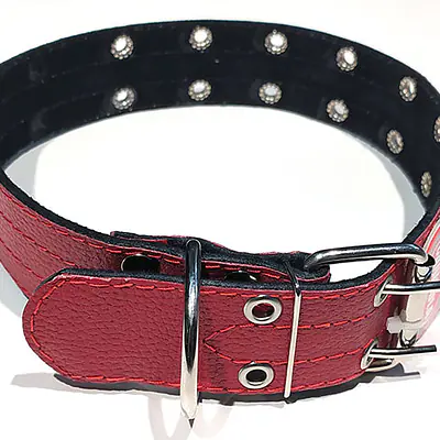 Ошейник кож безразмерный Canicula 45мм*75см основное изображение