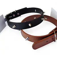 Ошейник с шипами - Master