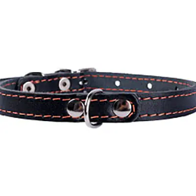 Ошейник "Collar" одинарный, 12мм* 24-32см основное изображение