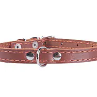 Ошейник "Collar" одинарный, 14мм* 27-35см - Master