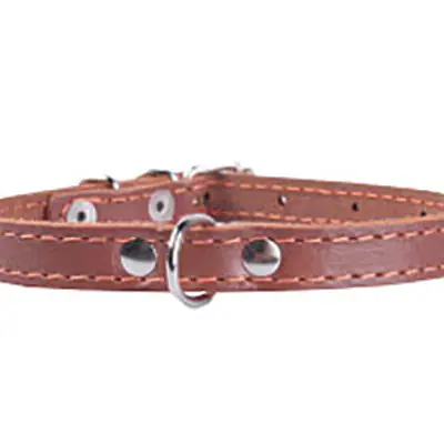 Ошейник "Collar" одинарный, 14мм* 27-35см основное изображение