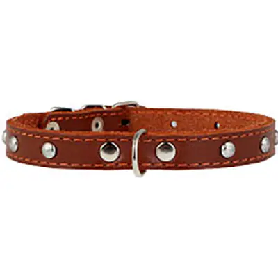 Ошейник "Collar" одинарный с украшениями, 14мм* 27-35см основное изображение