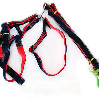 Поводок + Шлейка + Ошейник Джинса основное изображение