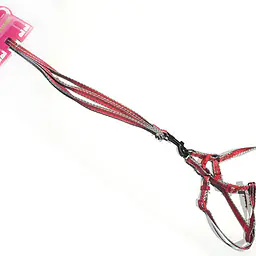 Поводок + Шлейка Яркая 1см*1,2м