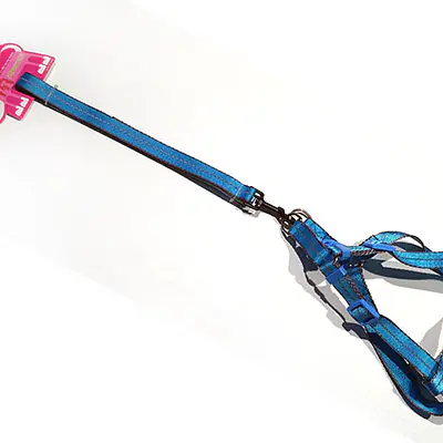 Поводок + Шлейка Яркая 2см*1,2м основное изображение