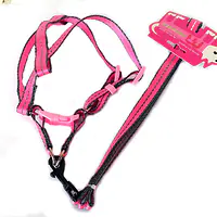 Поводок + Шлейка 1,5 см х 1,2 