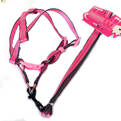 Поводок + Шлейка 1,5 см х 1,2 м основное изображение