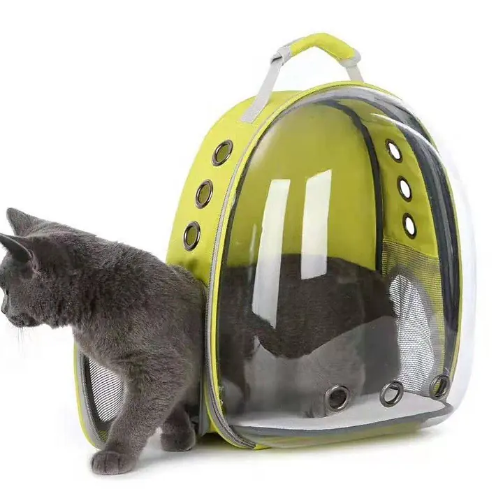 Рюкзак прозрачный - Master