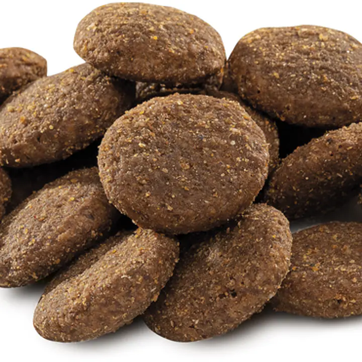 Brit Premium by Nature Sensitive Lamb - Master