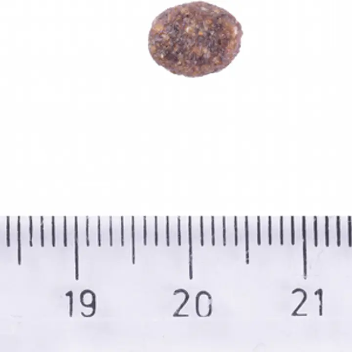 Brit Care Dog Hypoallergenic Adult Small Breed - Master