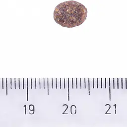 Brit Care Dog Hypoallergenic Adult Small Breed - Master