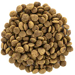 Brit Care Cat Grain-Free Large Cats Power and Vitality - Master