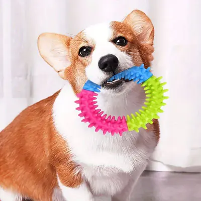 Игрушка резиновая "Бублик" трёхцветный 9х8 см основное изображение