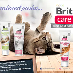 Brit Care Cat Paste Anti Hairball - Master