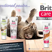 Brit Care Cat Paste Cheese Creme - Master