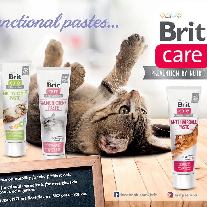 Brit Care Cat Paste Multivitamin - Master