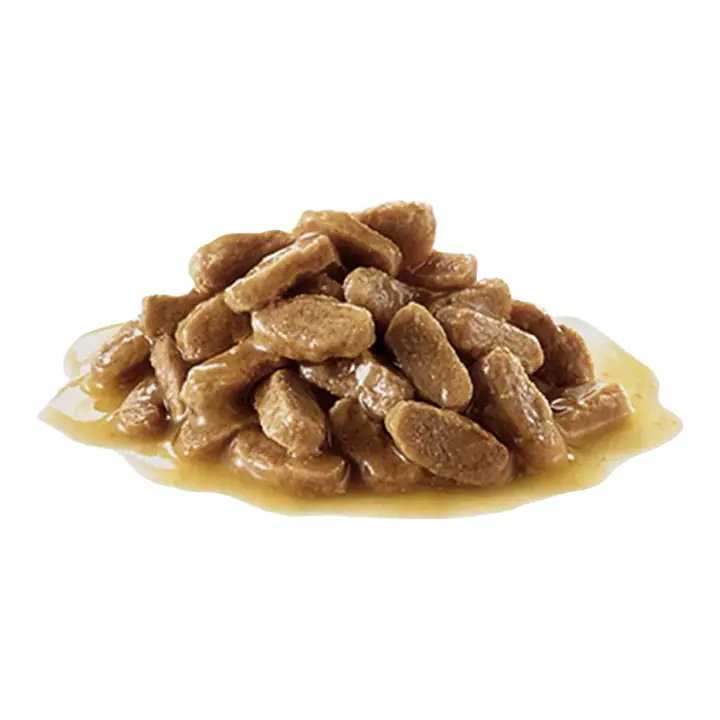 Royal Canin MINI PUPPY - Master